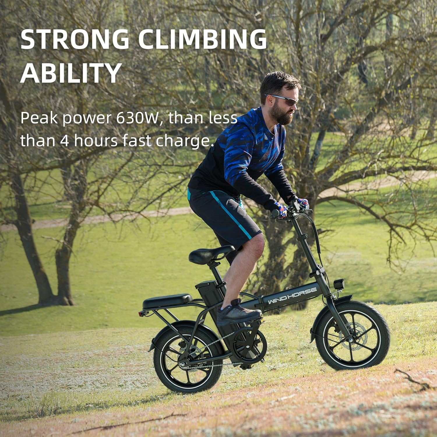 WINDHORSE W2A Folding Electric bike with 350W High Speed Motor, 36V 8AH Battery, 40 KM/H Speed, 35 KM Range, Dual Disk Brakes, Carbon Alloy Frame and 16 Inches Tires