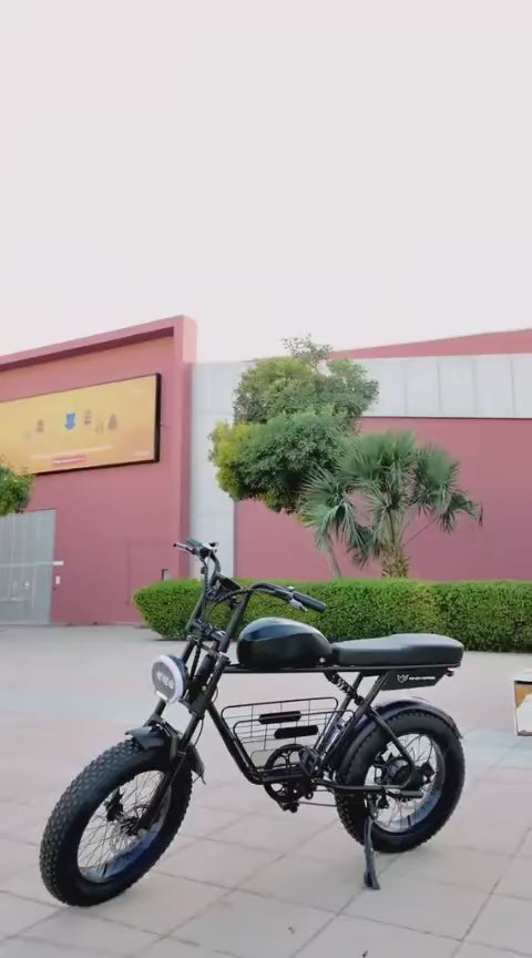 WINDHORSE D5 Electric Off-Road Bike, 1000W Powerful Brushless Motor, 48V 21Ah Removable Battery, 60KM/H Max Speed, 60–80KM Range, 20-Inch Fat Tires, Carbon Alloy Frame, Hydraulic Disc Brakes, Shimano 7-Speed Gears