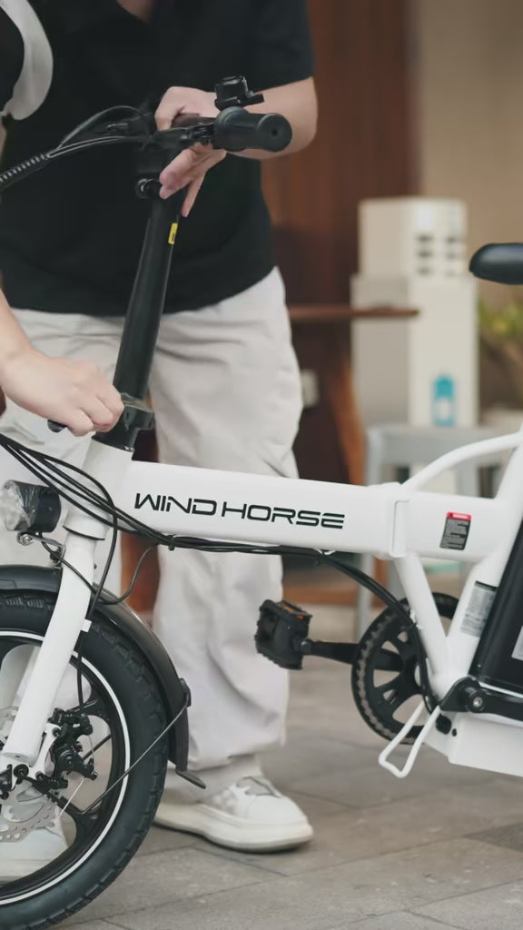 WINDHORSE W2A Folding Electric bike with 350W High Speed Motor, 36V 8AH Battery, 40 KM/H Speed, 35 KM Range, Dual Disk Brakes, Carbon Alloy Frame and 16 Inches Tires
